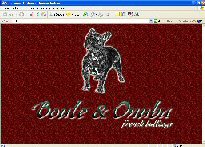 BOULE & ONUBA - French Bulldogs