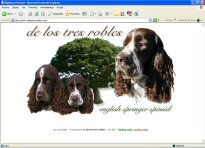 DE LOS TRES ROBLES - English Springer Spaniel