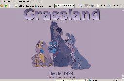 GRASSLAND - Cocker Spaniel Inglés