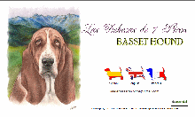 Las Dehesas 7 Picos - BASSET HOUND