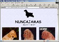 NUNCAJAMAS - Cocker Spaniel Ingls