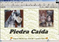 PIEDRA CADA - Schnauzers Miniatura & Chinos Crestados