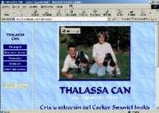Thalassa-Can - Cocker Spaniel Inglés